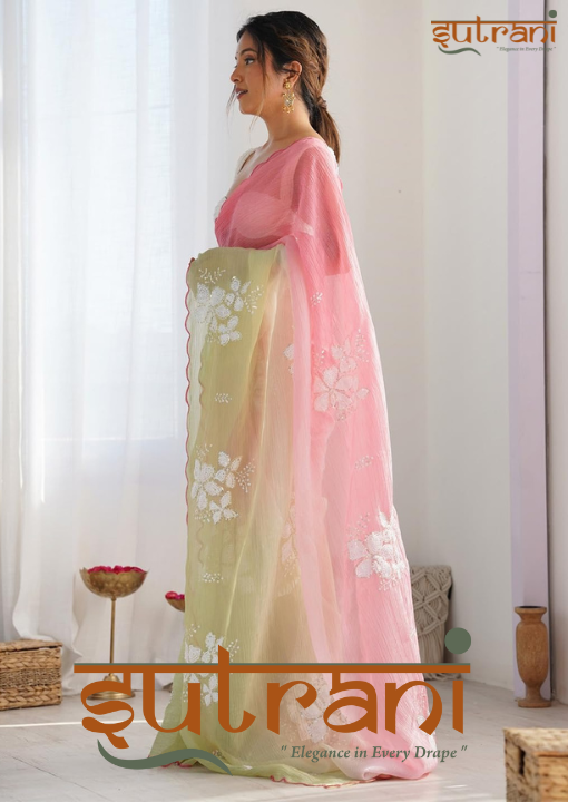 Timeless Pastel Elegance Saree
