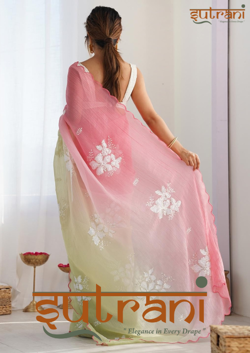 Timeless Pastel Elegance Saree